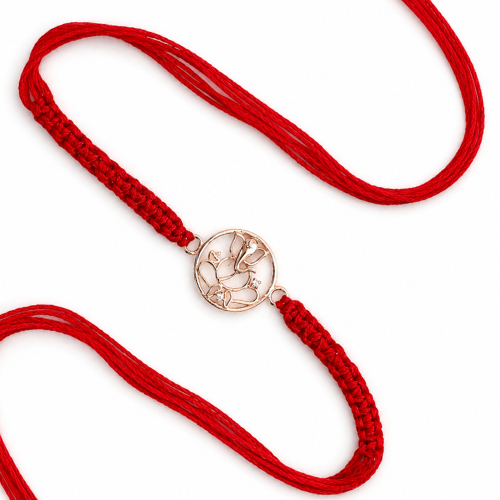 Ganpati Blessings 925 Sterling Silver Rakhi – Premium Designer Rakhi
